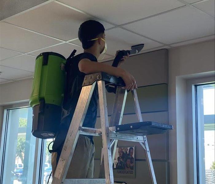 SERVPRO team member performing mold restoration services. He is on a ladder cleaning ceiling tiles