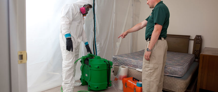 Prairieville, LA mold removal process